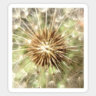 Make a Powerful Wish with a Dandelion Poof Sticker